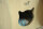 CatS Design Katzenbett große Katzen stabil Katzenhöhle H