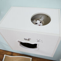 CatS Design "Catwalk" wall cave F2